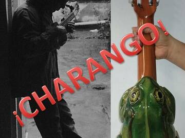 Offering with online payment: Charango lessons all levels