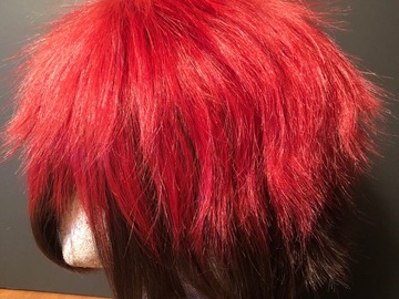 Selling with online payment: Taiga Kagami Wig (Unstyled)