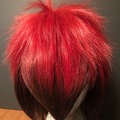 Selling with online payment: Taiga Kagami Wig (Unstyled)