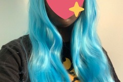 Selling with online payment: Light blue wig