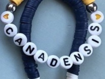 Selling A Singular Item: Camp Disc Bracelets