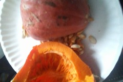 pay by mail only, w/ request form: Golden Nugget Squash Seeds