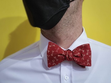  : Handmade bow tie - Red dragonfly