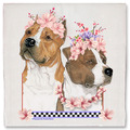 Selling: Amstaff Dog Floral Kitchen Dish Towel Pet Gift