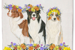 Selling: Dish Towel -Australian (Aussie) Shepherd 