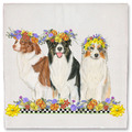 Selling: Dish Towel -Australian (Aussie) Shepherd 