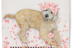 Selling: Doodle Kitchen Dish Towel Pet Gift