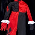 Selling with online payment: Harley Quinn Classic Cosplay Suit