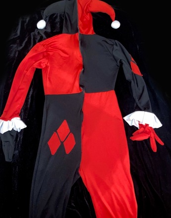 Harley Quinn Classic Cosplay Suit