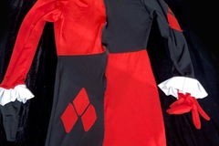 Selling with online payment: Harley Quinn Classic Cosplay Suit