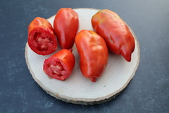 pay online only: West Virginia Pepper Tomato