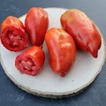 pay online only: West Virginia Pepper Tomato
