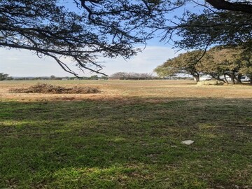 Land Available for Lease: Space for bees on 12ac. property in Hood County, TX