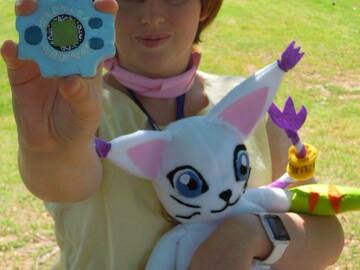 Selling with online payment: Kari - Digimon (Digidestined)