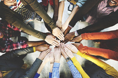 HR Consulting Service: HR Professional