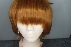 Selling with online payment: Seven Deadly Sins King Wig