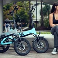 Monthly Rate: 2 X E-bikes long Term- Great for Professionals & Families