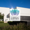 .: Lotus | Pleisterwerken 
