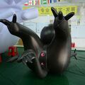 Selling: Big Inflatable Cartoon Sex Toy, Rare Find! Body Safe EVA Vinyl