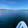 Daily Rate: Big Day Out on this Fun Stand Up Paddle