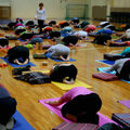 Services (Per Hour Pricing): Beginners Yoga Series: Class 6 of 6 (Putting it Together)