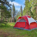Buscando: Etsitään vuokralle teltta
