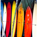Buscando: Etsitään vuokralle surffilautoja