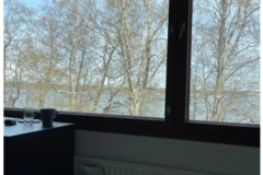 Renting out: Girls only: Room with the Sea View in Otaniemi