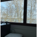 Renting out: Girls only: Room with the Sea View in Otaniemi