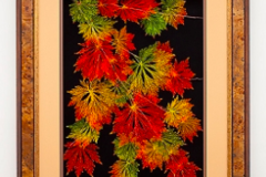 Sell Artworks: 24x36 Japanese Maple Fullmoon