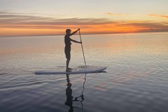 Daily Rate: Fun Stand Up Paddle for the day