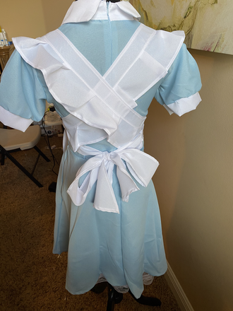 Alice Costume