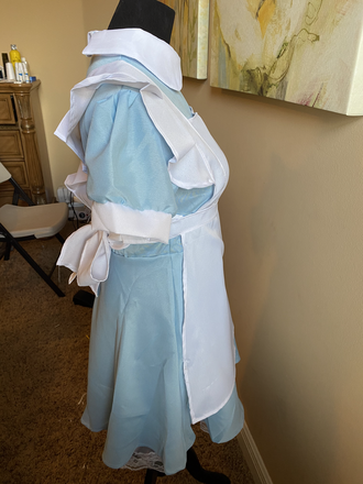 Alice Costume