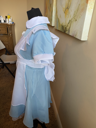 Alice Costume