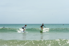 Hourly Rate: Easy to use Beginners Surfboard in Noosa!