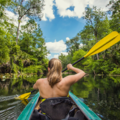 Daily Rate: Explore Noosa's Gorgeous Wetlands in this Single Kayak