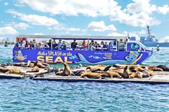 Offering: Boat Captains needed for San Diego SEAL Tours - $1000 BONUS