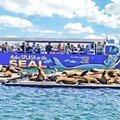 Offering: Boat Captains needed for San Diego SEAL Tours - $1000 BONUS