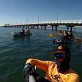Hourly Rate: Double Kayak - See Moreton Bay Together
