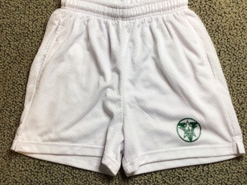 Selling A Singular Item: Camp Vega Mesh shorts Size Adult Medium (not shiny)