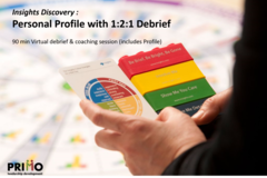 Training Course: Insights Discovery | Personal Profile with 1:2:1 Debrief