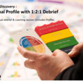 Training Course: Insights Discovery | Personal Profile with 1:2:1 Debrief