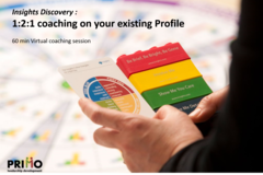 Training Course: Insights Discovery | 1:2:1 Coaching on your existing Profile