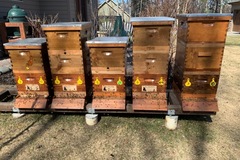 Requesting Land: Alaska beekeeper seeking site for apiary