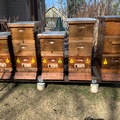 Requesting Land: Alaska beekeeper seeking site for apiary