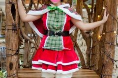 Selling with online payment: Idolized Christmas Hanayo - Love Live