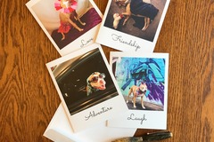 Selling: Use Your Dog Words Set of Four Note Cards