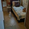 Rooms for rent: Sliema Center 1 Private Room