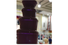 Request Quote: Chocolate Fountain