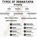 Services (Per Hour Pricing): Pranayama Practice 